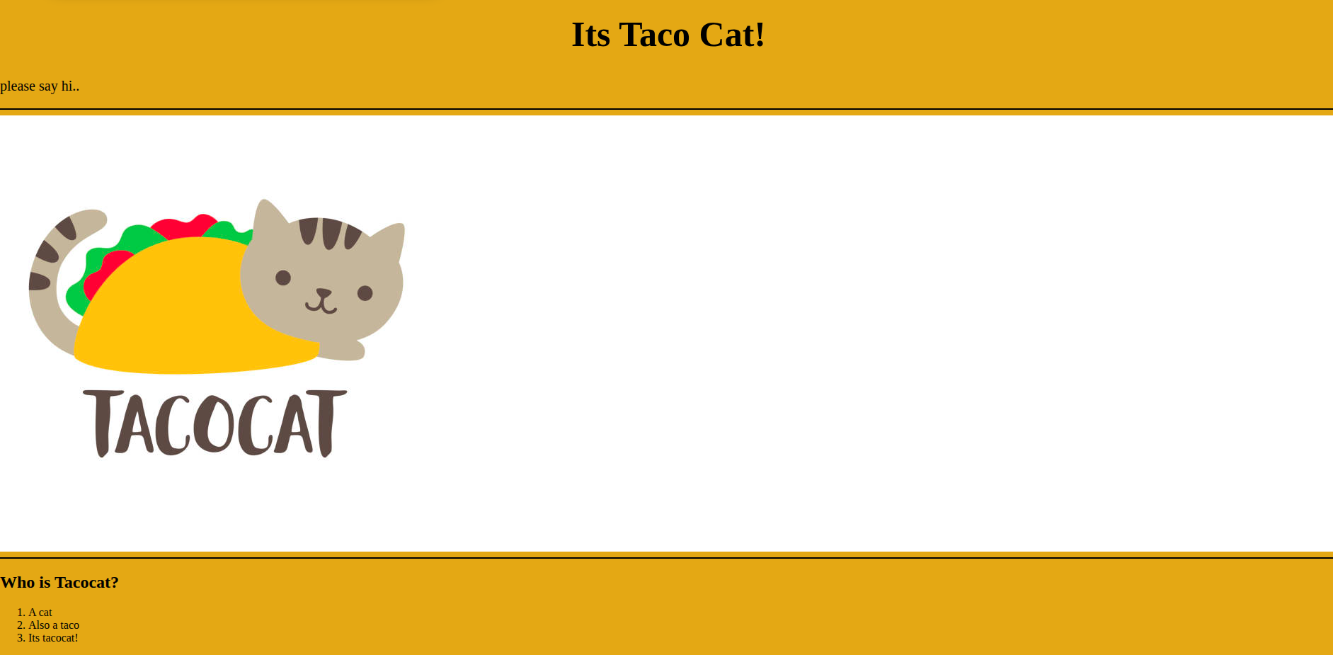 Image of the one and only tacocat website
